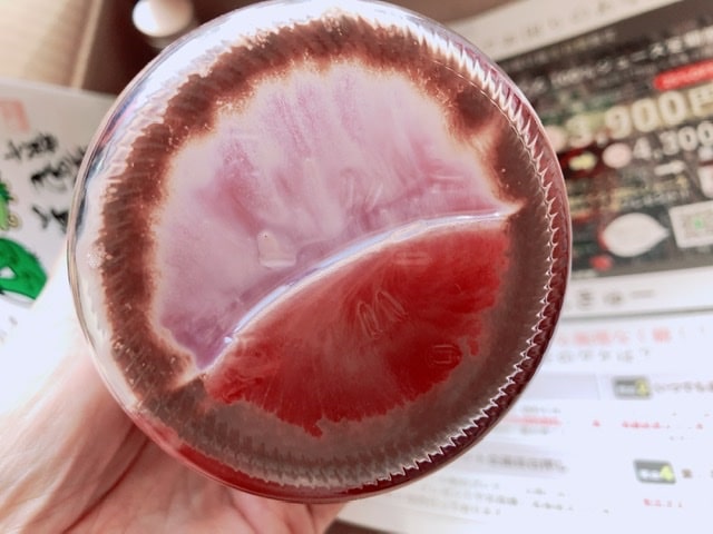 野田ハニーザクロジュース底面の写真